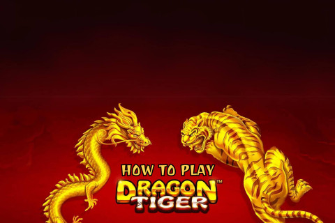 How to Play Dragon Tiger Game