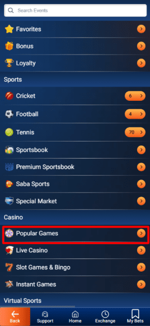 casino popular games