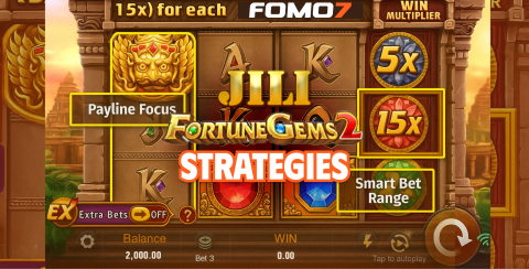 A strategy-focused version of the game with highlighted areas