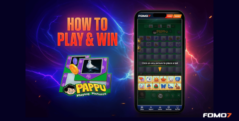 Learn How To Win in Pappu Game