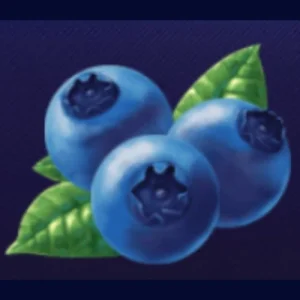 Fruity Reels Blue Berry Symbol