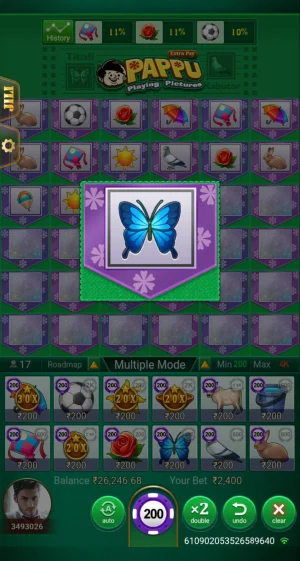 Pappu Playing Pictures board with the Butterfly symbol selected, showing ₹200 bets placed across all 12 picture icons for a total bet of ₹2,400.