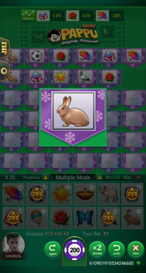 Pappu Playing Pictures round result showing the Rabbit randomly drawn as the winning icon from the 12 picture symbols.