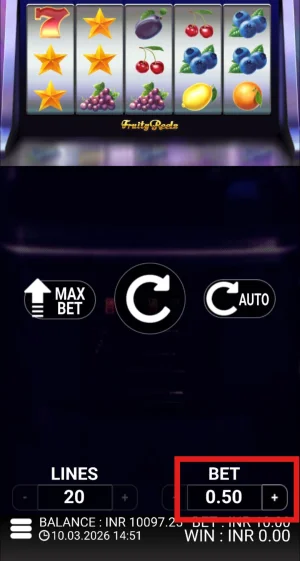 Fruity Reels gameplay screen with the Bet control highlighted, set to ₹0.50 across 20 lines.